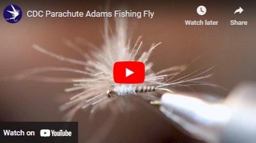 Tying a CDC Parachute Mayfly Fishing Fly